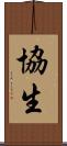 協生 Scroll