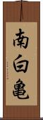 南白亀 Scroll