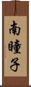 南瞳子 Scroll