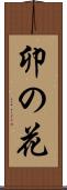 卯の花 Scroll