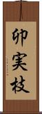 卯実枝 Scroll