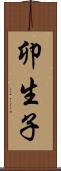 卯生子 Scroll