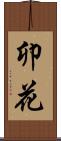 卯花 Scroll