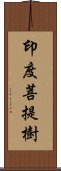 印度菩提樹 Scroll