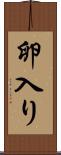 卵入り Scroll