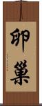 卵巢 Scroll