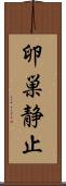 卵巣静止 Scroll