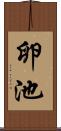 卵池 Scroll