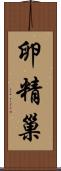 卵精巢 Scroll
