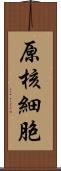 原核細胞 Scroll