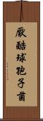 厭酷球孢子菌 Scroll