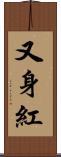 又身紅 Scroll