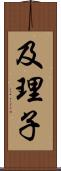 及理子 Scroll