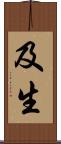 及生 Scroll