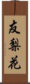 友梨花 Scroll