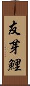友芽鯉 Scroll