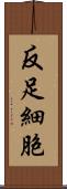 反足細胞 Scroll
