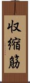 収縮筋 Scroll