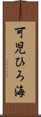 可児ひろ海 Scroll