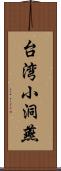 台湾小洞燕 Scroll