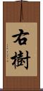 右樹 Scroll