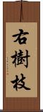 右樹枝 Scroll