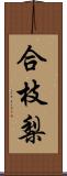 合枝梨 Scroll