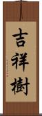 吉祥樹 Scroll