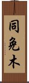 同免木 Scroll