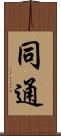 同通 Scroll