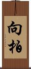 向柏 Scroll