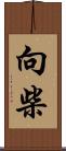 向柴 Scroll