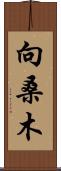 向桑木 Scroll