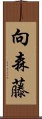 向森藤 Scroll