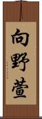 向野萱 Scroll
