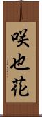 咲也花 Scroll