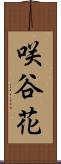 咲谷花 Scroll