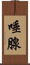 唾腺 Scroll