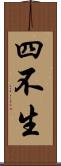 四不生 Scroll