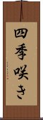 四季咲き Scroll