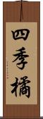 四季橘 Scroll