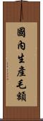 國內生產毛額 Scroll