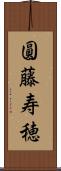 圓藤寿穂 Scroll