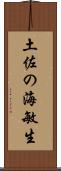 土佐の海敏生 Scroll