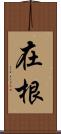 在根 Scroll