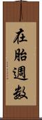 在胎週数 Scroll