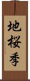 地桜季 Scroll