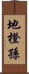 地橙孫 Scroll