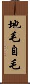 地毛 Scroll