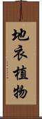 地衣植物 Scroll